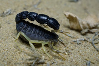 98b2b9290ee0a1311363a5f0b015aca5.jpeg (113.28 KiB) 13922 просмотра 98b2b9290ee0a1311363a5f0b015aca5.jpeg