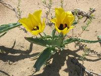 3637c24a92eff27d2d1bc2bf0b357833.jpeg (163.81 KiB) 12875 просмотра 3637c24a92eff27d2d1bc2bf0b357833.jpeg