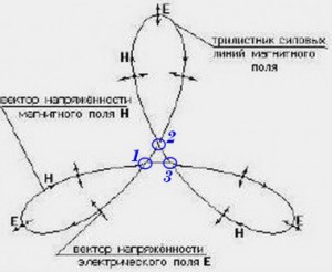 Смелов Трилистник силовых линий .jpg